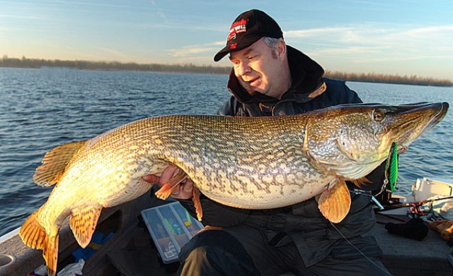 Złów i wypuść - www.catchandrelease.pl - Catch & Release