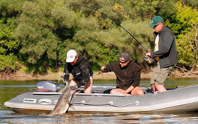 Złów i wypuść - www.catchandrelease.pl - Catch & release