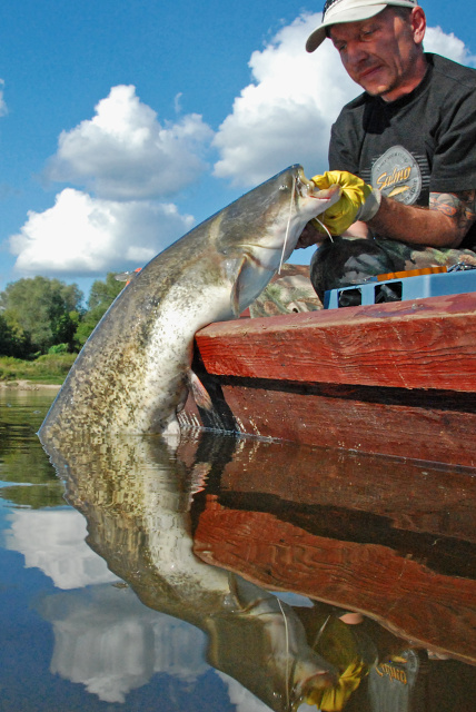 Złów i wypuść - www.catchandrelease.pl - Catch & release