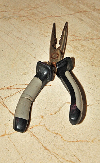 Catch and release - www.catchandrelease.pl - Złów i wypuść