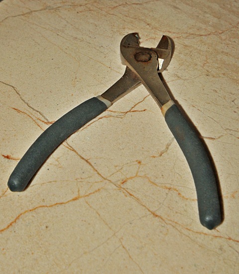 Catch and release - www.catchandrelease.pl - Złów i wypuść