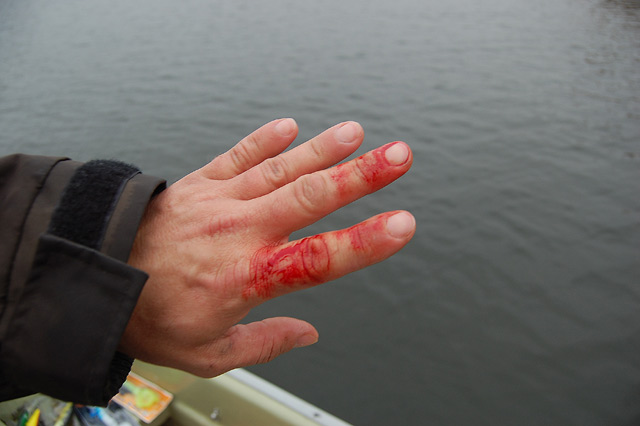 Złów i wypuść - www.catchandrelease.pl - C&R