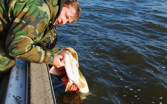 Złów i wypuść - www.catchandrelease.pl - C&R