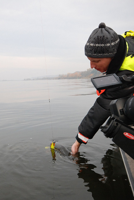 Złów i wypuść - www.catchandrelease.pl - Catch & release