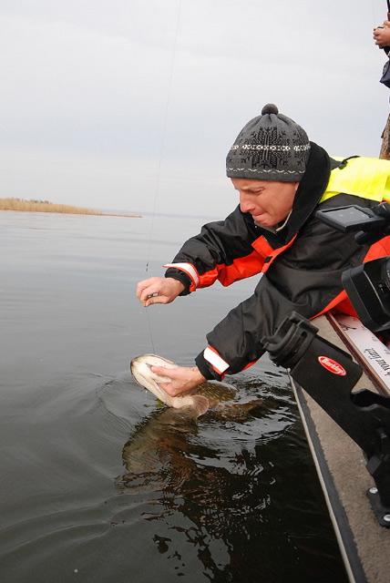 Złów i wypuść - www.catchandrelease.pl - Catch & release