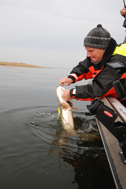 Złów i wypuść - www.catchandrelease.pl - Catch & release