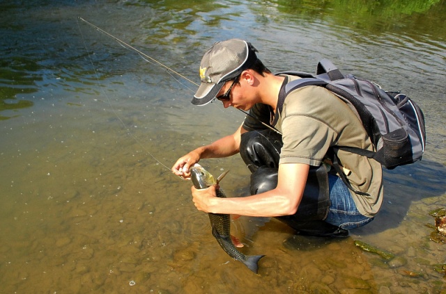 Złów w wypuść - www.catchandrelease.pl - C&R