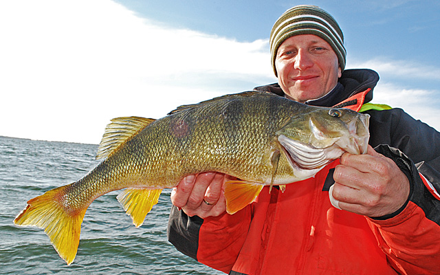 Catch and release - www.catchandrelease.pl - Złów i wypuść