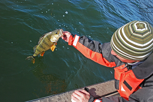 Catch and release - www.catchandrelease.pl - Złów i wypuść