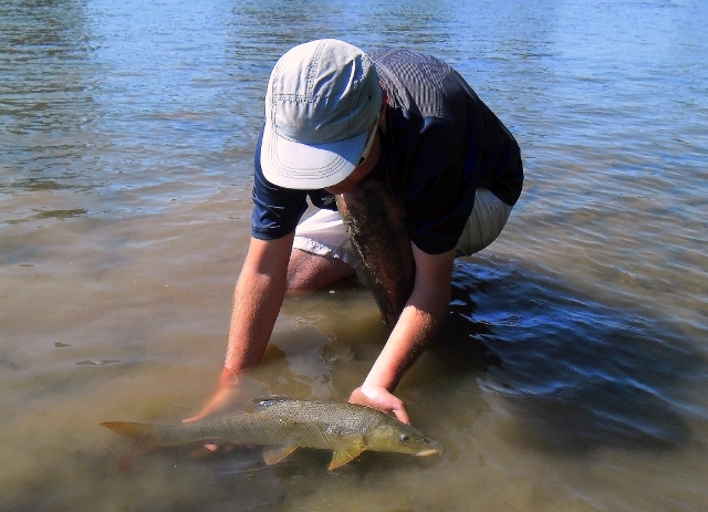 Złów i wypuść - www.catchandrelease.pl - Catch and release