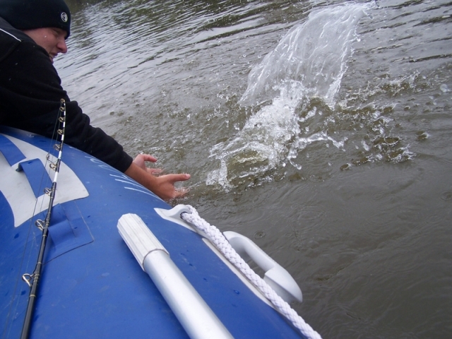 Złów i wypuść - www.catchandrelease.pl - Catch and release